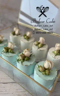 سفارش کیک خانگی/سفازش کیک کافه ای