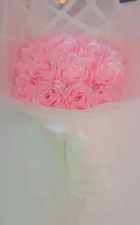 گل ربانی