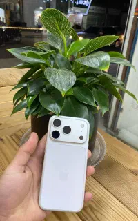 iphone 17 pro صدرافون