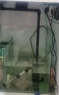 اکواریوم همراه سامپ