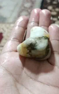 سنگ دریایی