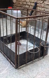 قفس
