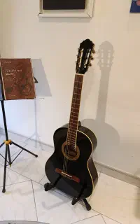 گیتار هافنر آلمان