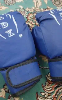 دست کش ووشو