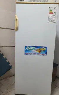 یخچال فریزربدون برفک فیلورکاملاسالم