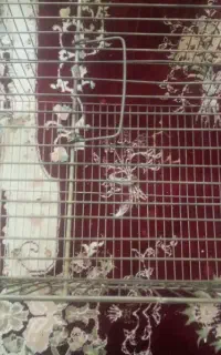 قفس پرنده