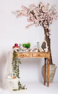 عکاسی با دکور نوروز