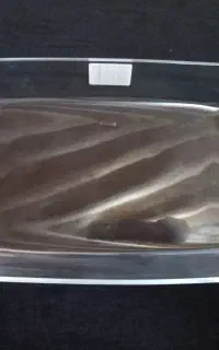 مرغ خوری پیرکس فرانسه