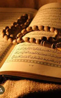 سیده نفیسه خاتون مشکل گشا