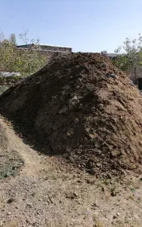 کود دامی