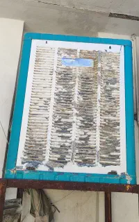 کولر ابی آزمایش در حد