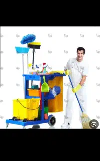 نظافت منازل