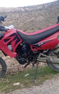 تریل فلات jy