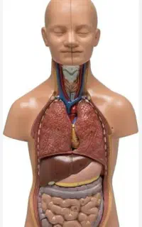 زیست شناسی کنکور