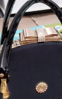 کیف مجلسی