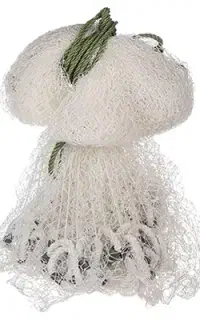 تور ماهیگیری