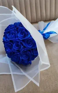 گل روبانی اقتصادی