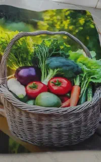 ساک خرید نان کیسه سبزی پیش بند با پارچه  پنلی ترند