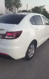 شاهین در حد خشک