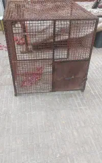 قفس سگ اهنی قوطی ۲در ۲ توری تختی