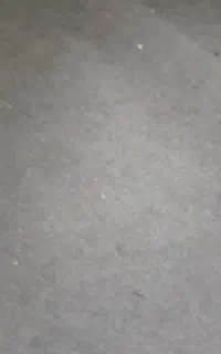 موکت سالم بدون سوختگی و پارگی
