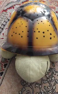 لاک‌پشت شلمن موزیکال