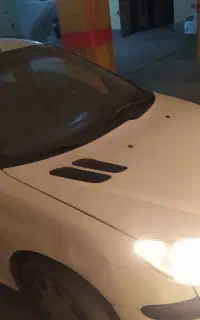 ۲۰۶ اس دی