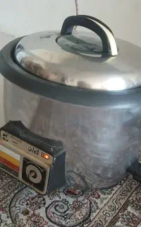 پلوپز برقی