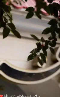 ممتاز مراسم باشید در عمارت بزرگ افرا سالاریه