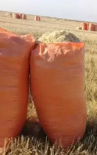 کاه