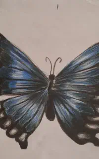 سیم کارت دایمی بسیار رند کد یک