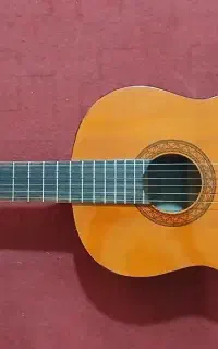 فروش گیتار