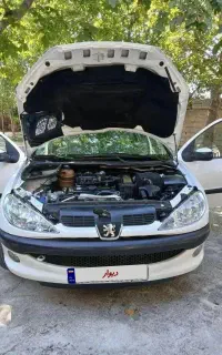 ۲۰۶ خاص
