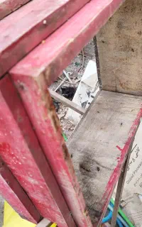 طبقه زنبور