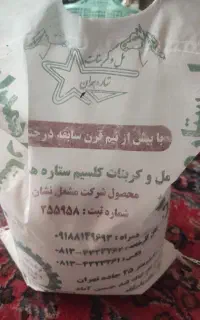 پودرمل ستاره همدان و ..