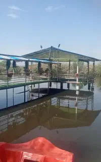 نیازمند چند نفر پرسنل خانم جهت کار در باغ وحش