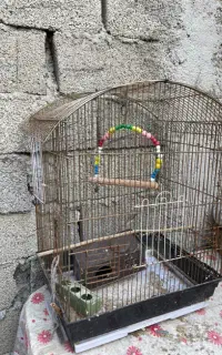 قفس پرنده