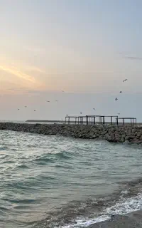 مجوز صیادی 55