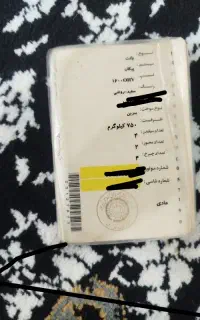 گم شده
