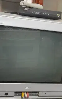 تلویزیون