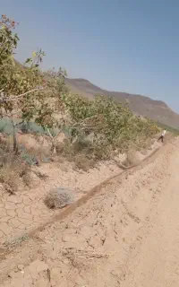مشارکت جهت آبی و برقی کردن چاه