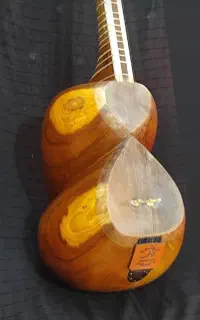 تار حرفه ای