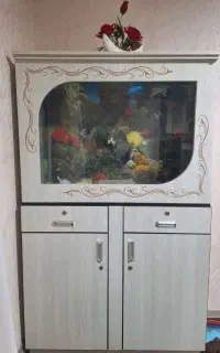 آکواریوم
