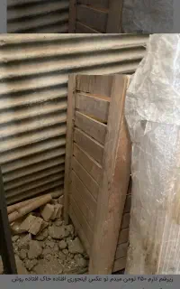 نی چوب بامبو فقط دونه ای ۷۰