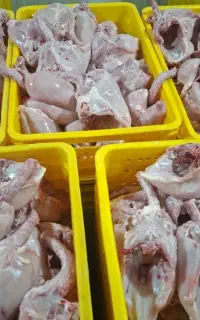 قطعه بندی سینه مرغ