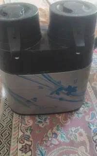 فلاکس دوقلو