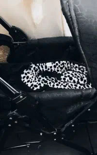 سرویس کامل کالسکه