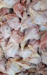 ضایعات فروشی مرغ