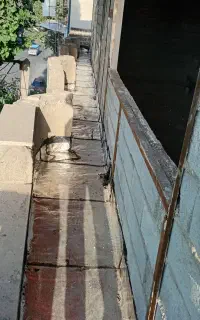 ایزوگام