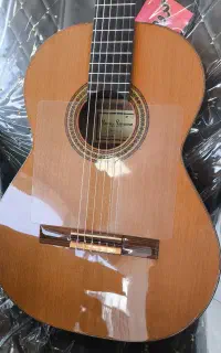 گیتار ریموندو ۱۳۸